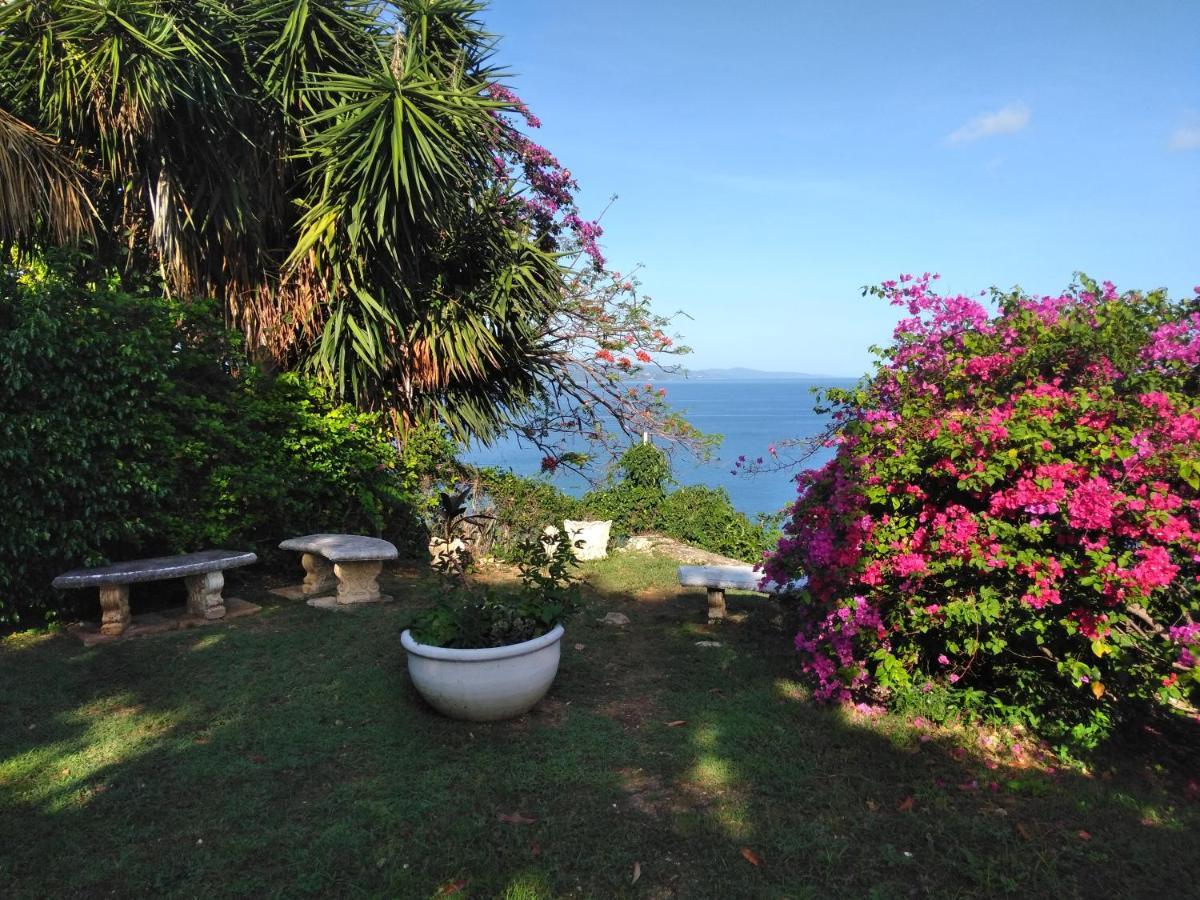 Апартаменти Irresistible View-Mobay Club 1408 Монтего-Бей Екстер'єр фото