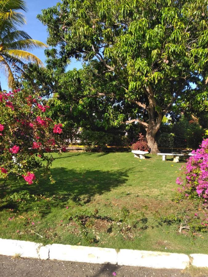 Апартаменти Irresistible View-Mobay Club 1408 Монтего-Бей Екстер'єр фото