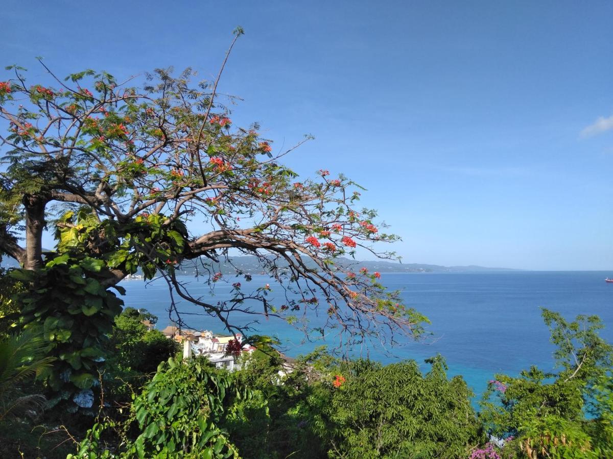 Апартаменти Irresistible View-Mobay Club 1408 Монтего-Бей Екстер'єр фото